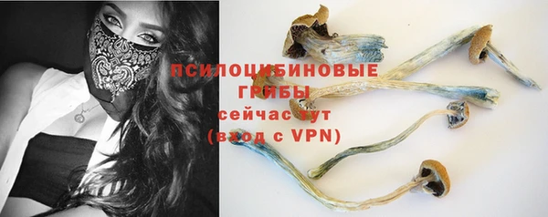mdpv Майский