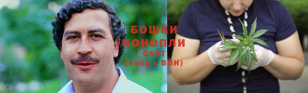 крисы Магадан