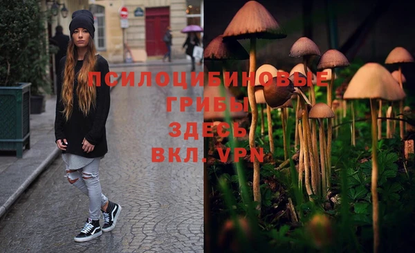 mdpv Майский