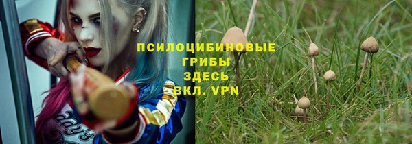 крисы Магадан