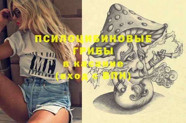 крисы Магадан