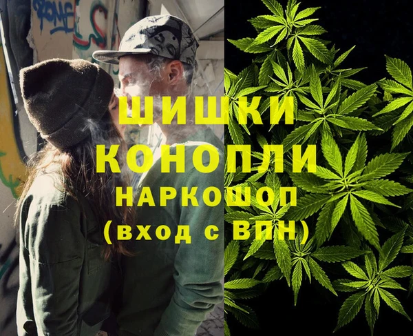 крисы Магадан