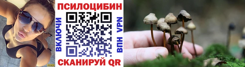 Галлюциногенные грибы Psilocybine cubensis  Купить где  Окуловка 